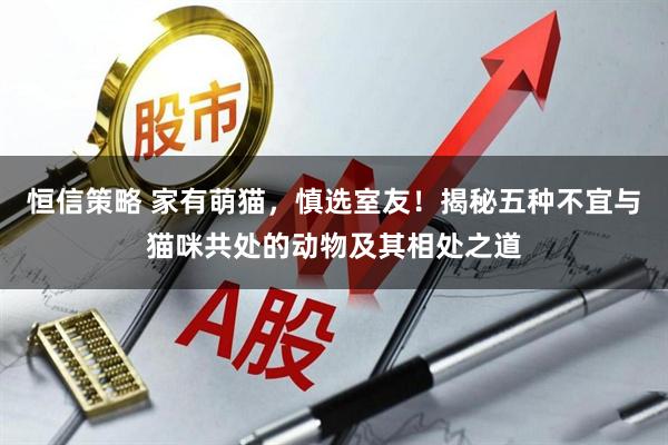 恒信策略 家有萌猫，慎选室友！揭秘五种不宜与猫咪共处的动物及其相处之道